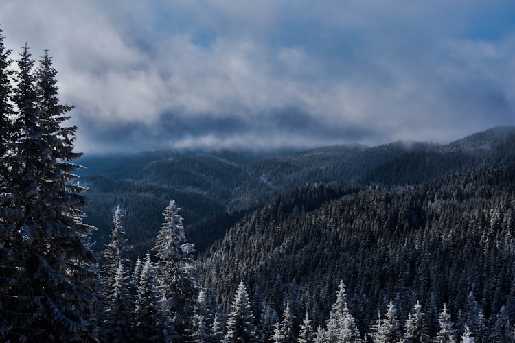 Views of Pamporovo