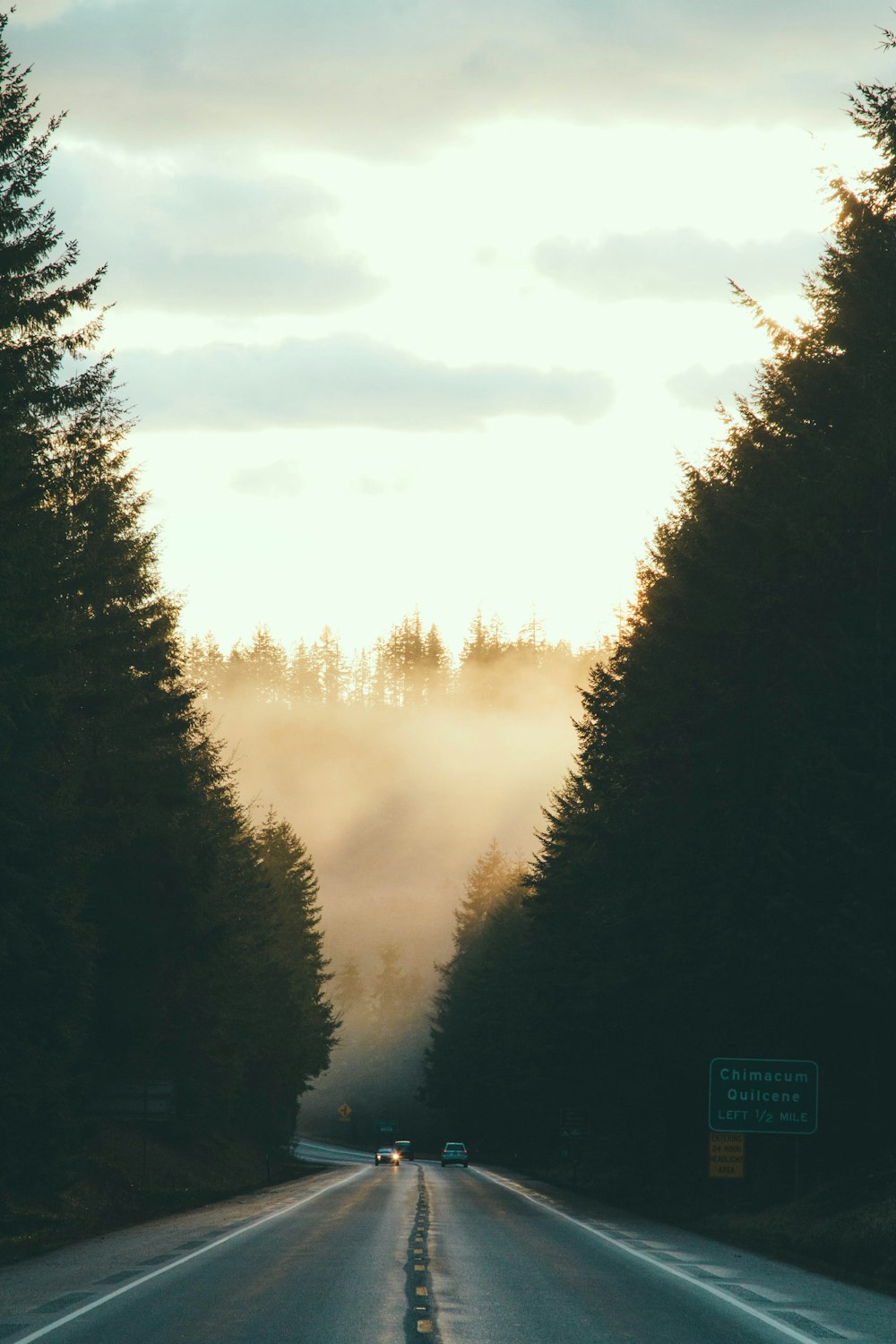 Véhicule passant sur une route entourée d’arbres