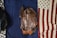 A brown leather jacket is laid out flat on a dark blue fabric with part of a folded American flag visible on the right. On the left, there is a glimpse of another dark-colored item, possibly another jacket or blanket.