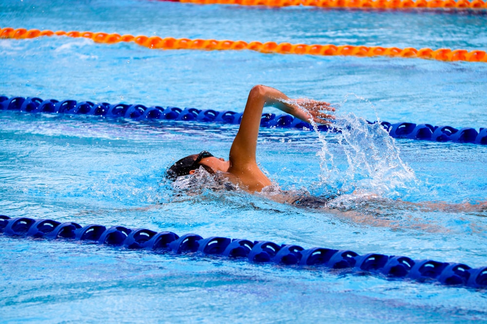 올림픽 수영장에서 수영하는 사람
