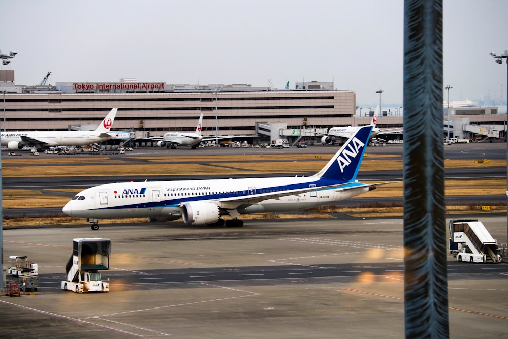 white and blue Ana airplane during daytime