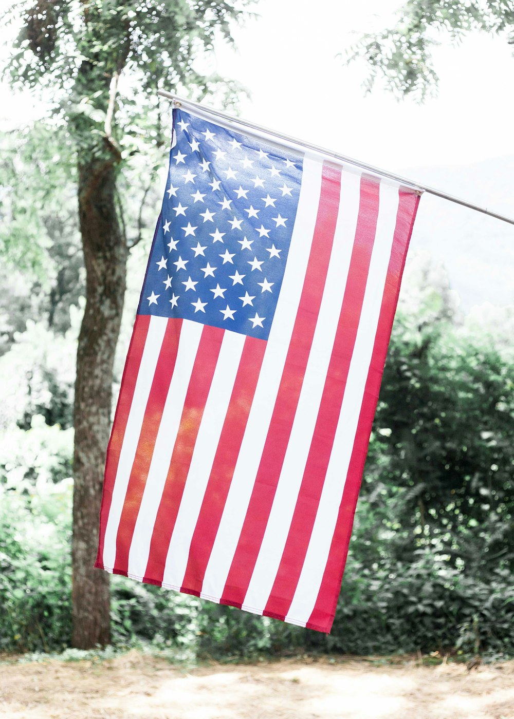 US flag with trees background