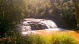 A gentle waterfall flowing over rocks surrounded by lush greenery at dusk.
