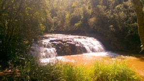 A gentle waterfall flowing over rocks surrounded by lush greenery at dusk.