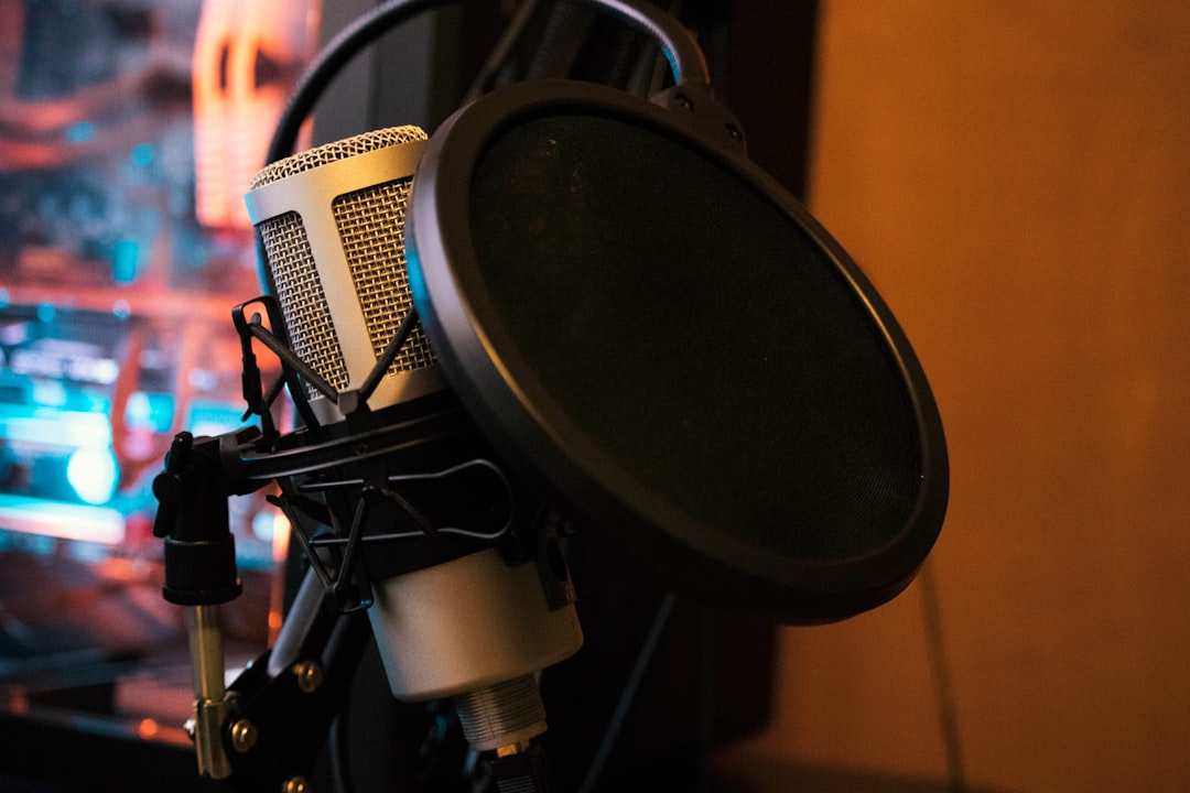 black and gray microphone condenser,