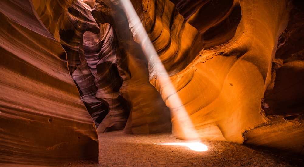 Antelope, Grand Canyon