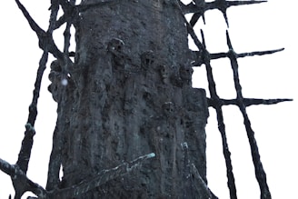 A dark, textured sculpture depicting several human figures appears integrated into a large, rough tree trunk. The figures display haunting facial expressions and seem to emerge from the tree, surrounded by long, jagged branches protruding in various directions.
