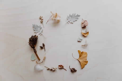 A variety of dried natural elements arranged in a circular pattern on a light wooden surface. The items include leaves, seeds, and buds with different textures, colors, and shapes, creating an organic and artistic composition.