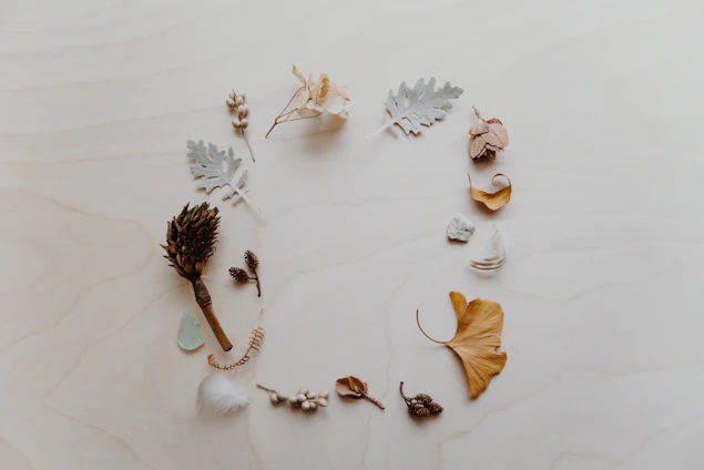 A variety of dried natural elements arranged in a circular pattern on a light wooden surface. The items include leaves, seeds, and buds with different textures, colors, and shapes, creating an organic and artistic composition.