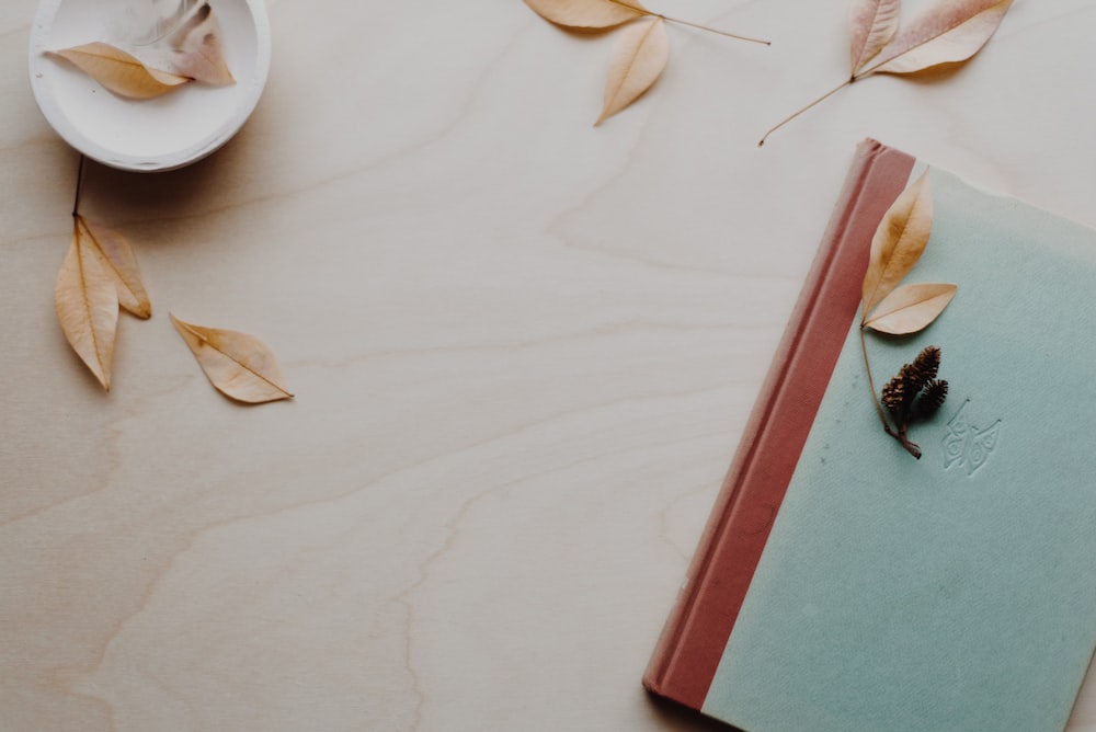 brown and blue hardbound book