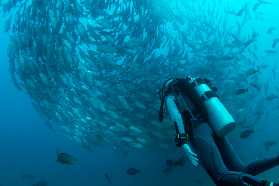 Scuba diving in Tenerife