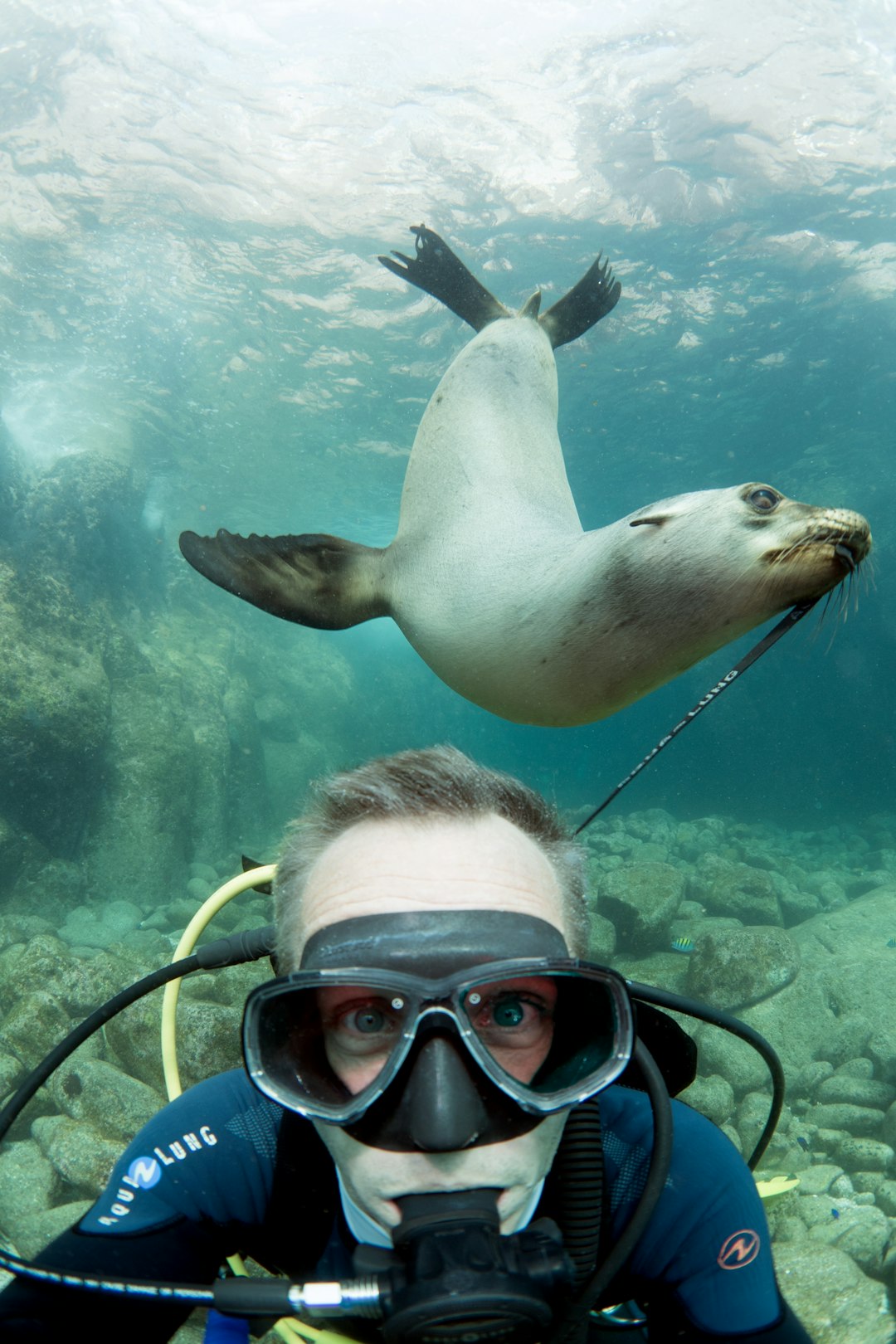 travelers stories about Scuba diving in La Paz, Mexico