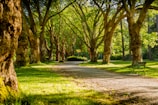 photo of empty park during daytime