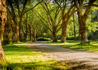 photo of empty park during daytime