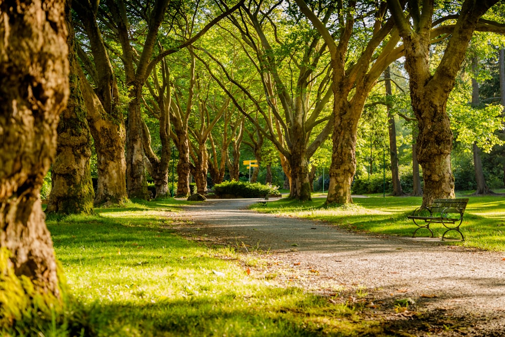 photo of empty park during daytime