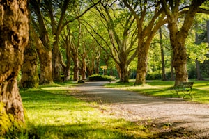 Park