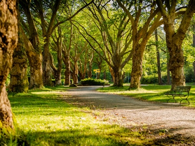Crawford Park