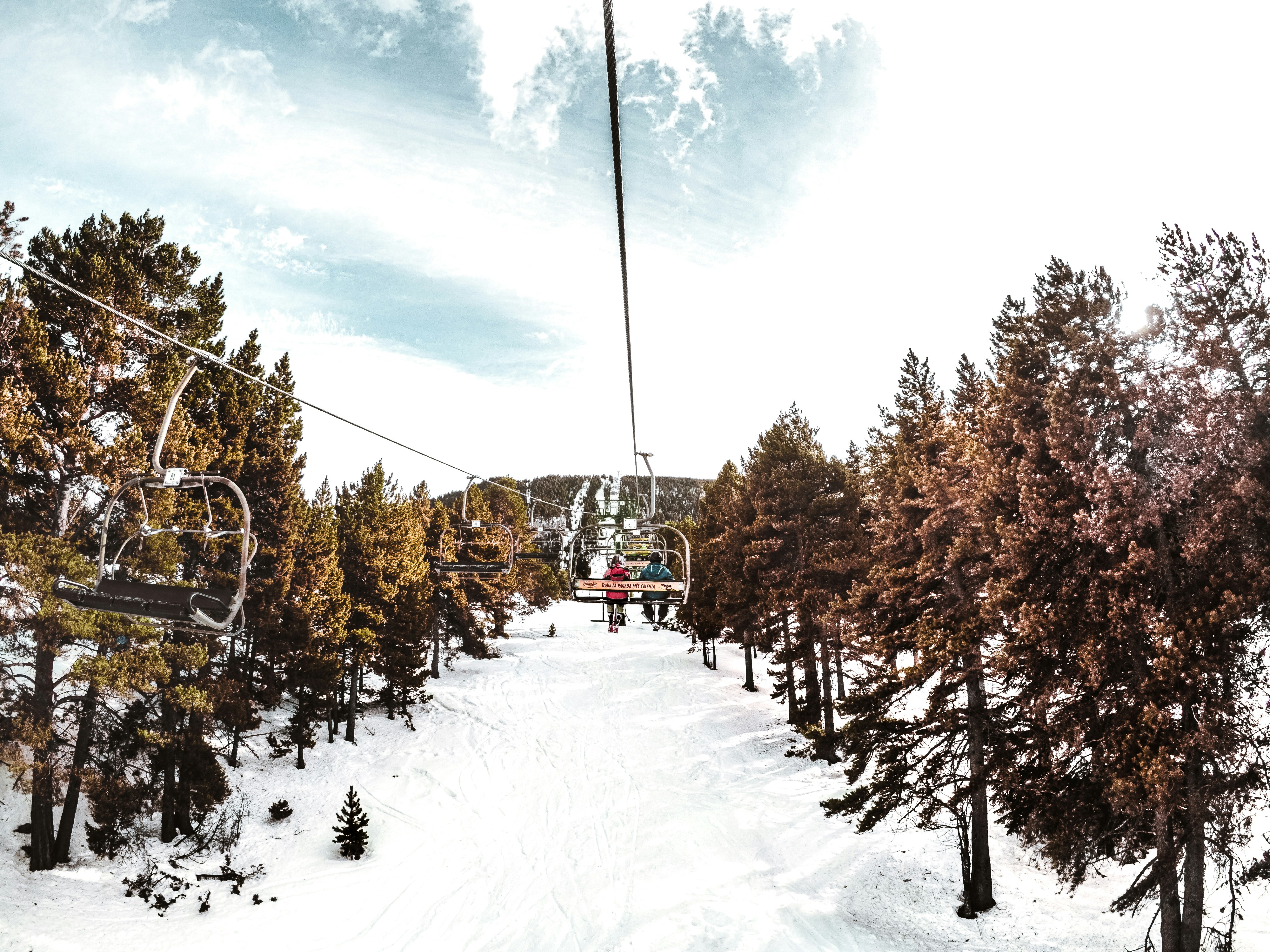 Conoscere la colonna vertebrale