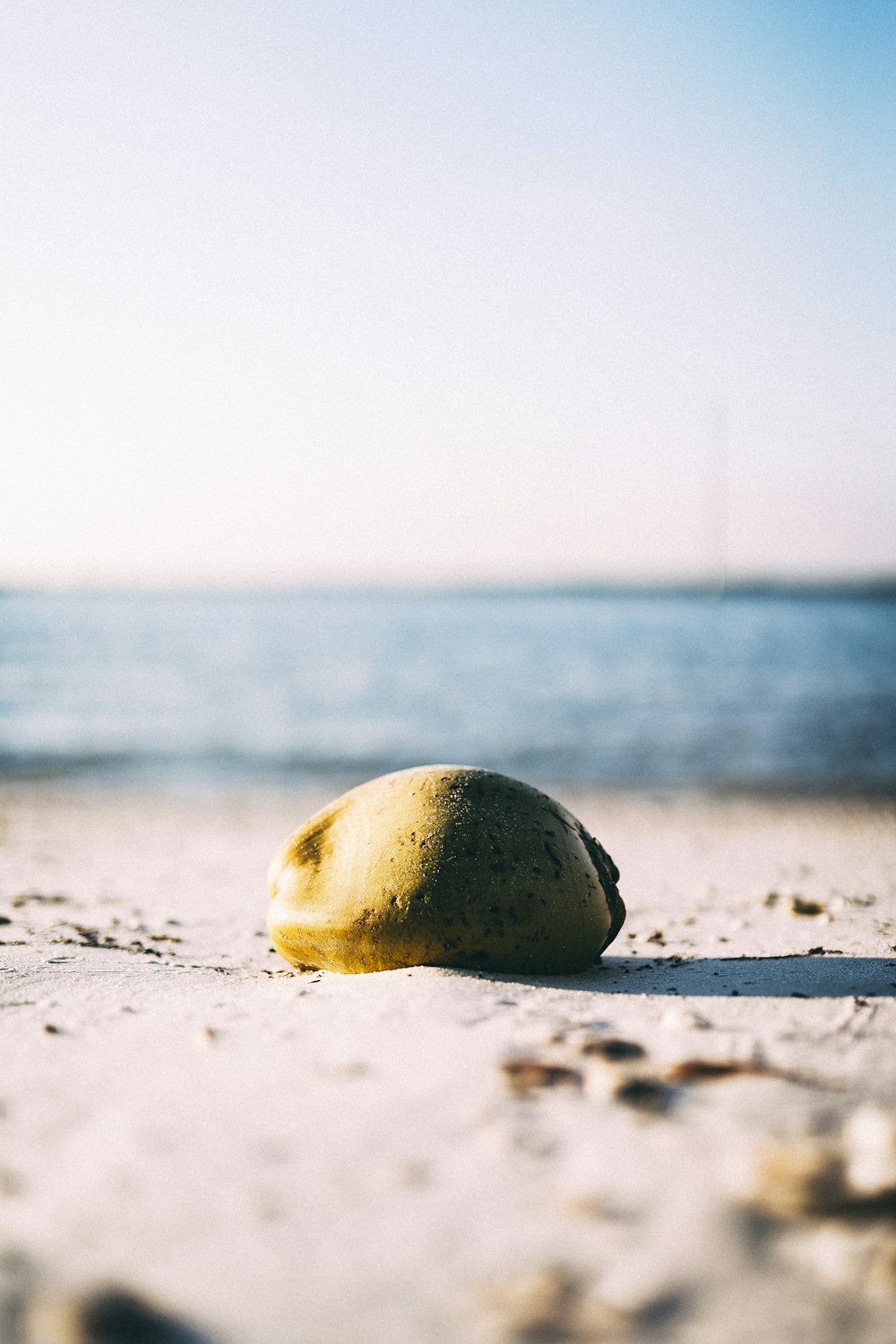 a rock sitting on top of a sandy beach