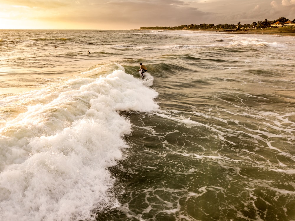 strong wave of body of water