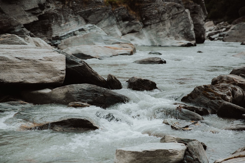 photography of water stream