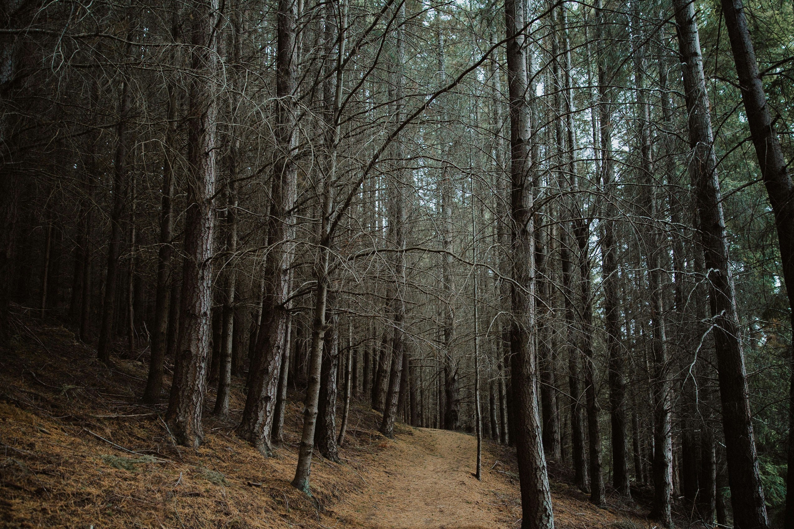 Photo by bulbcreative