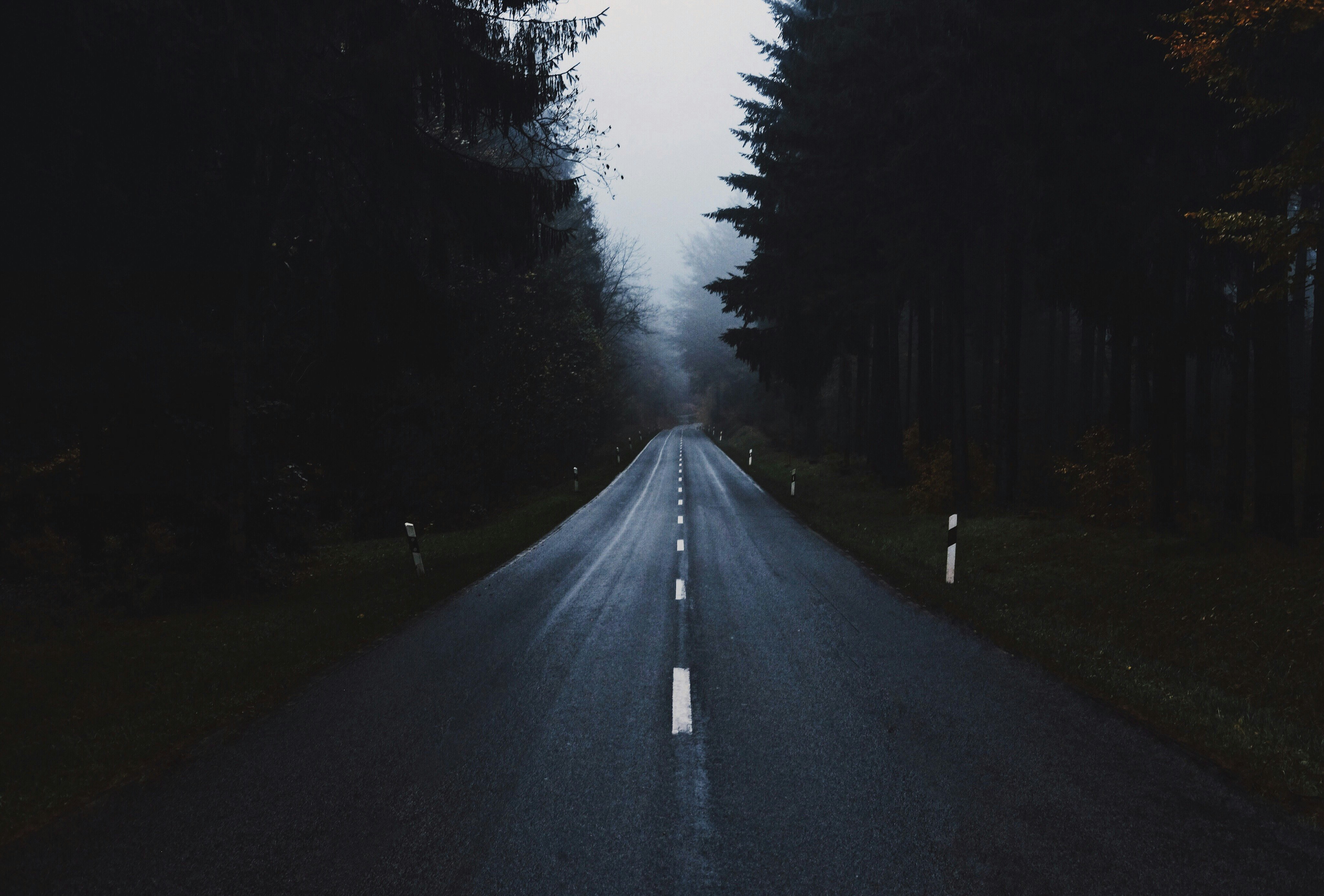 gray concrete road between trees at daytime