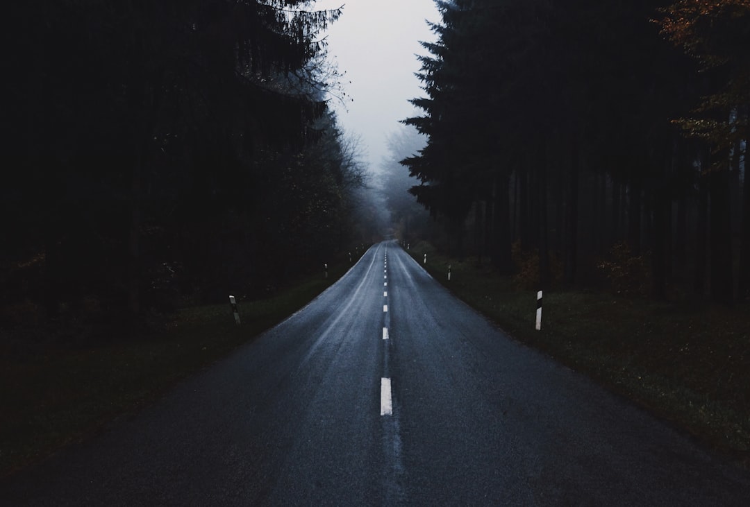 gray concrete road between trees at daytime, Follow the unkown