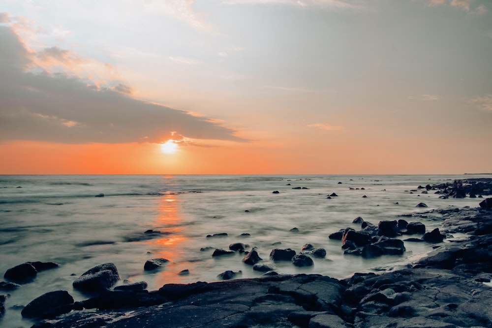 rocky seashore under golden sun