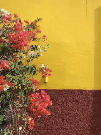 A vibrant floral wall print brightening a modern living room.