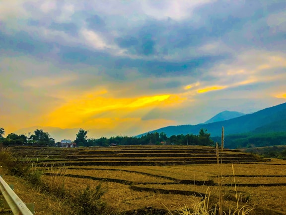 A scenic view of terraced fields stretching across rolling hills at dawn.