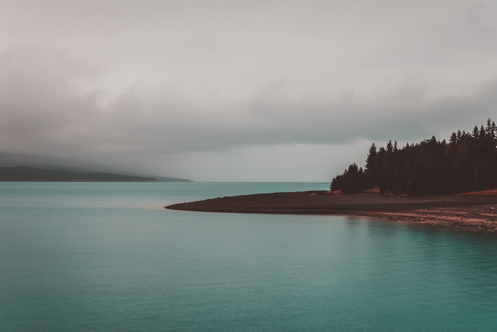 Photographie de paysage de plage verte sous les nuages de nimbus