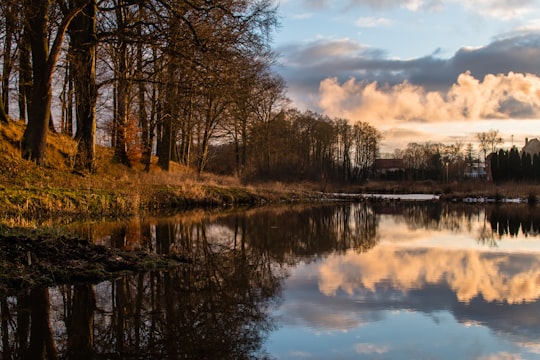 body of water surrounded by trees in Główczyce Poland