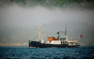 black and white ship on sea under cloudy sky during daytime