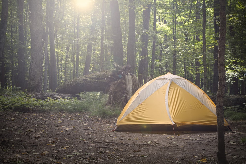 yellow and gray tent surrounded by trees