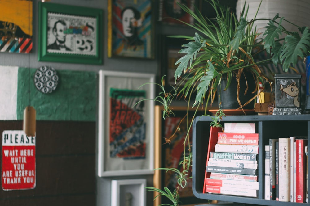 assorted books on gray wooden shelf surrounded by green plants and a cluster of wall art gallery prints