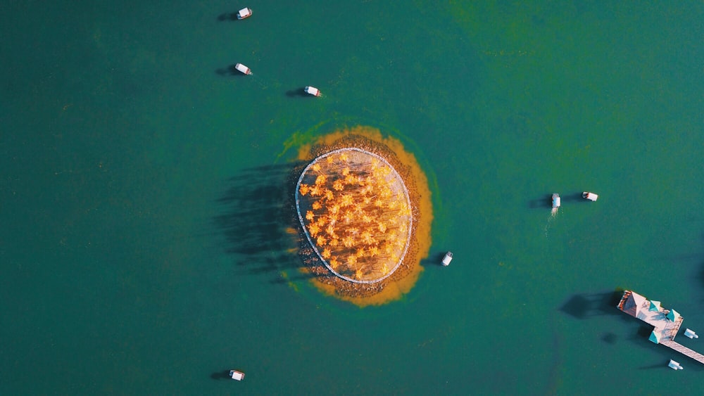 aerial photography of island