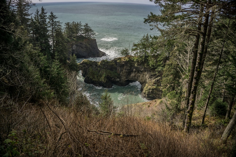 aerial photography of cliff with body of water