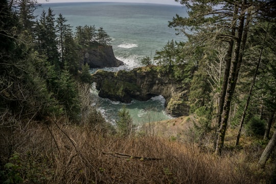 Coast things to do in Brookings