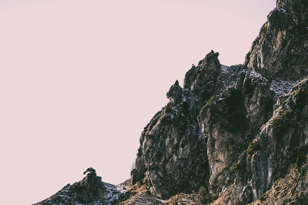 암석층의 로우 앵글 사진