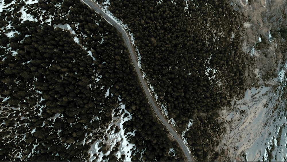 Fotografia aérea de estrada entre florestas