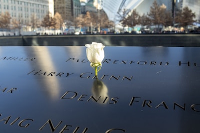 A white rose placed on a memorial plaque with several engraved names. The background shows an urban setting with trees and modern architectural structures.