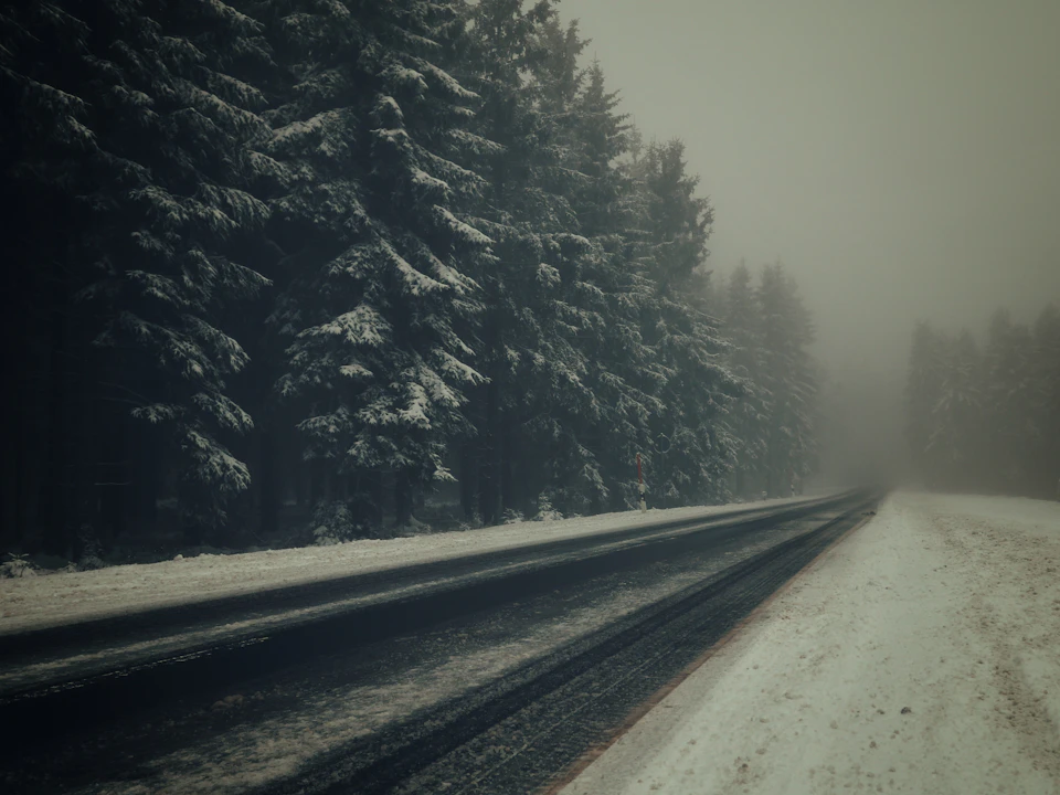 Snow-covered trees line both sides of a deserted winter road under foggy conditions