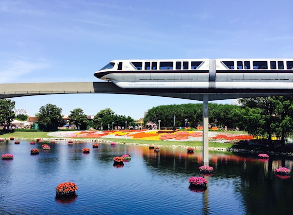 The War on Reedy Creek Comes for the Monorail