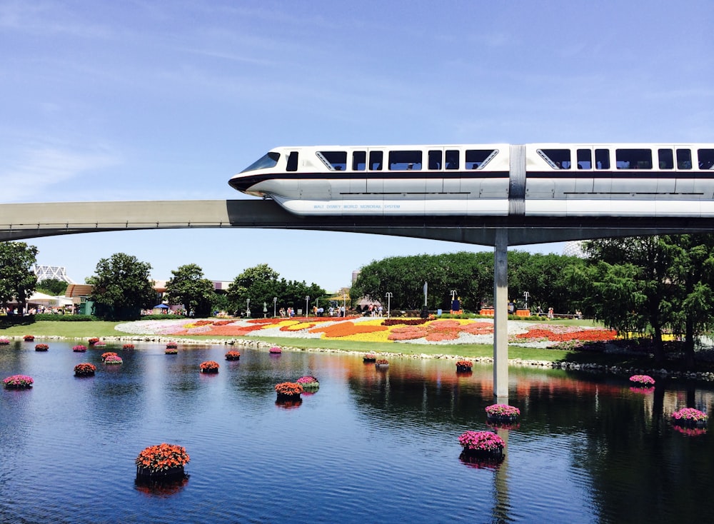 white train and bridge