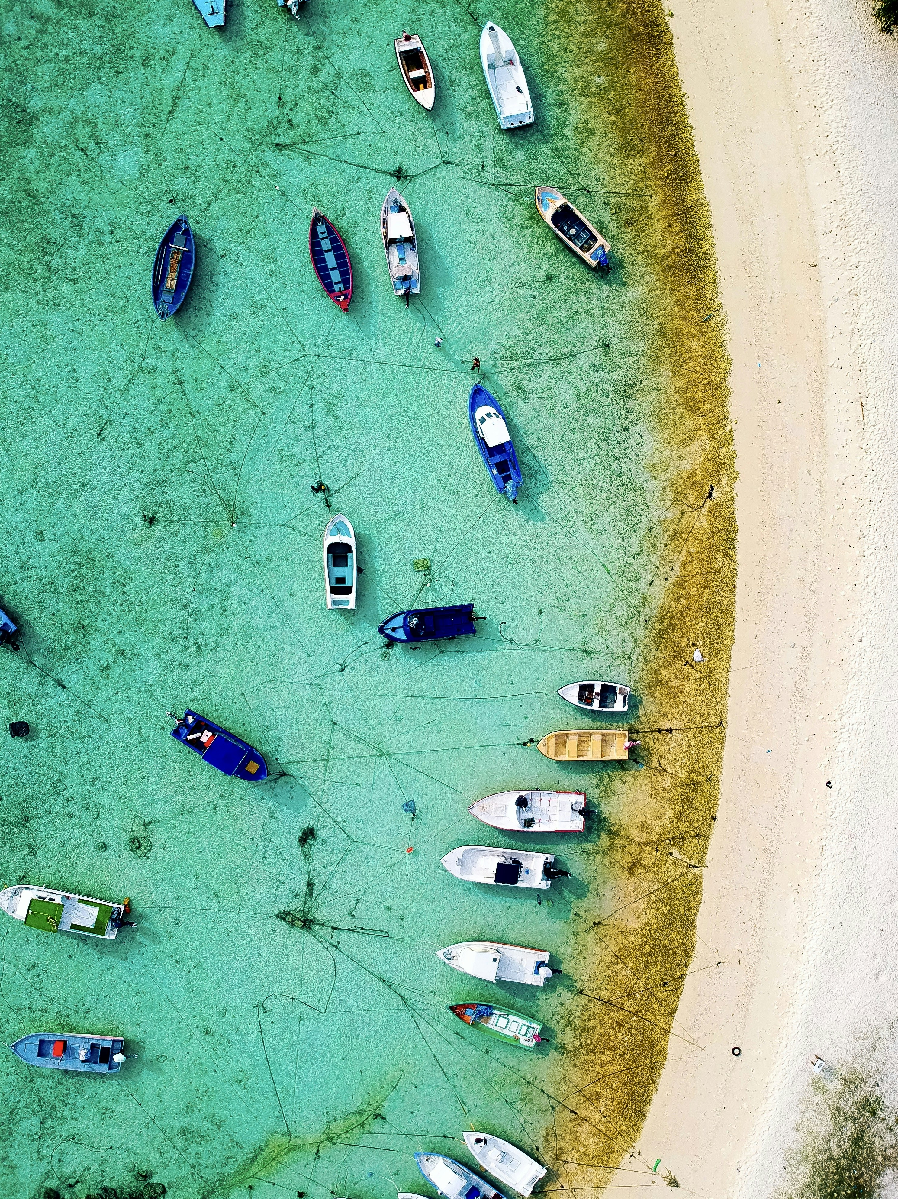 Photo by adventuresofmaldives