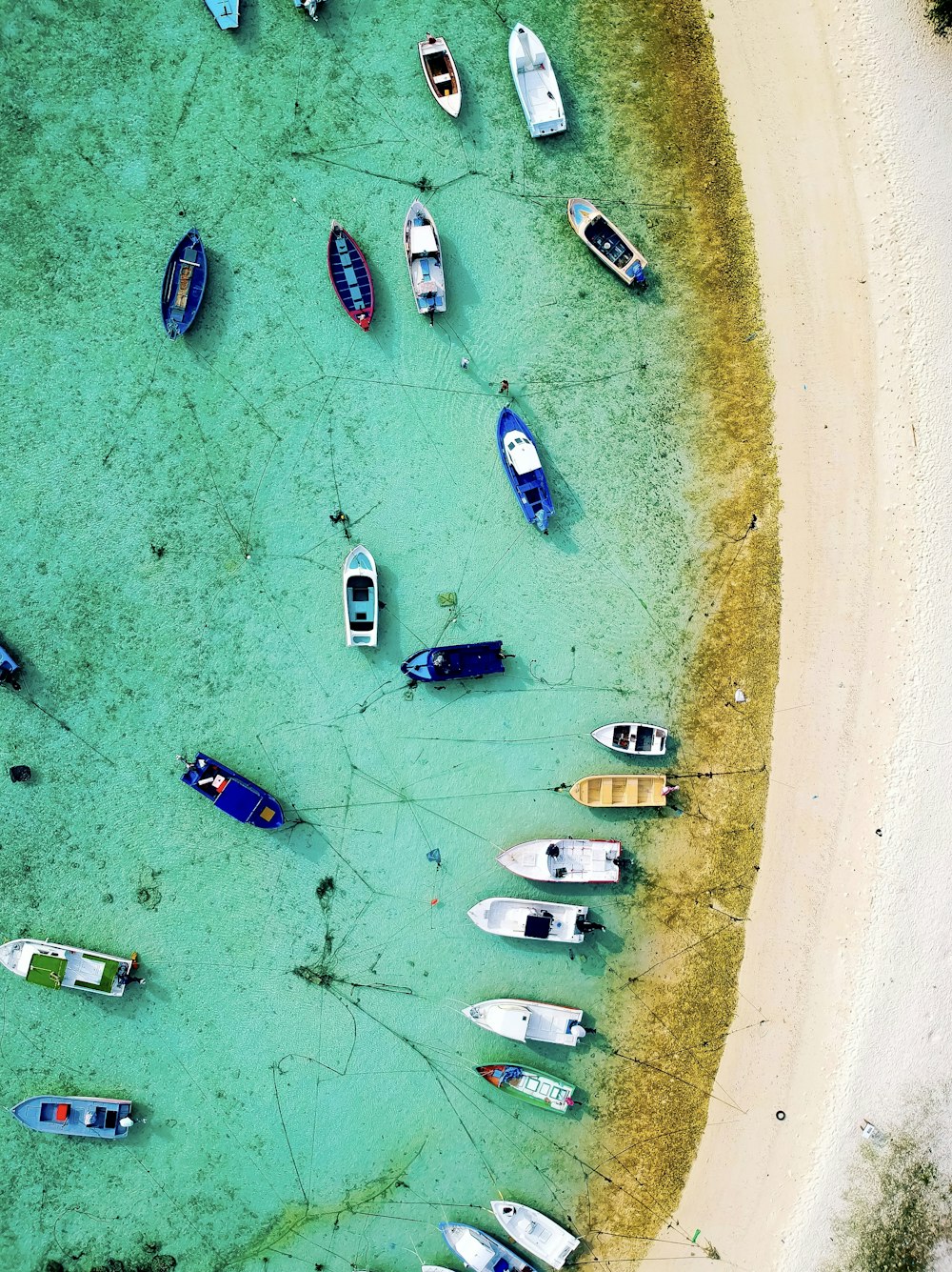 aerial view of boat on body of water during daytime