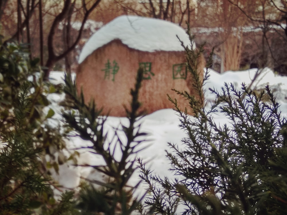 Schneebedecktes Holzhaus umgeben von Bäumen