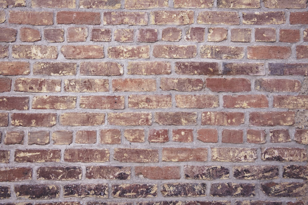 brick wall