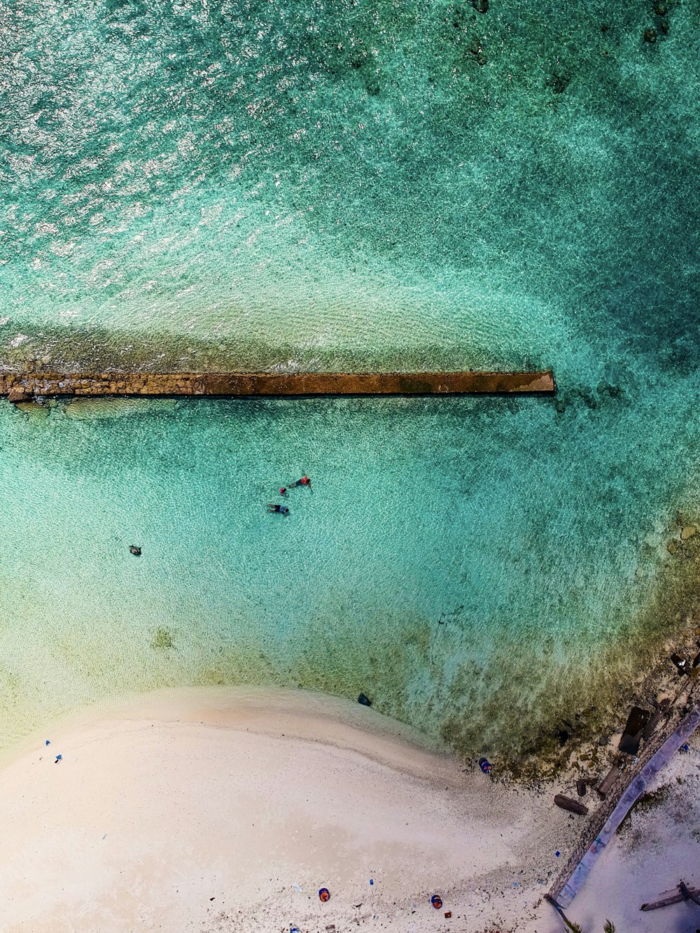 aerial photograph of people on beach